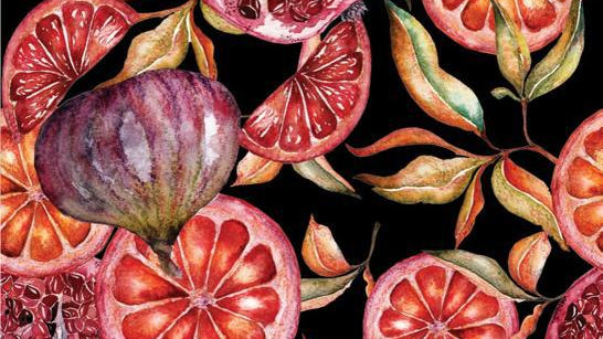 PLUDMALES DVIELIS BERGAMO